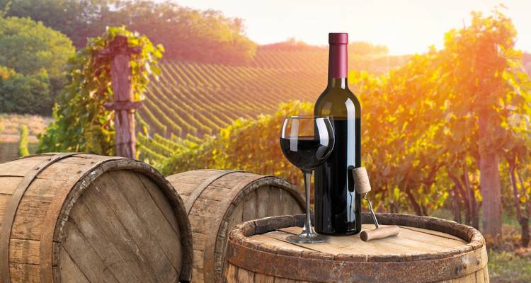 Car tour from culture to pleasure in Tuscany - DERTOUR 1