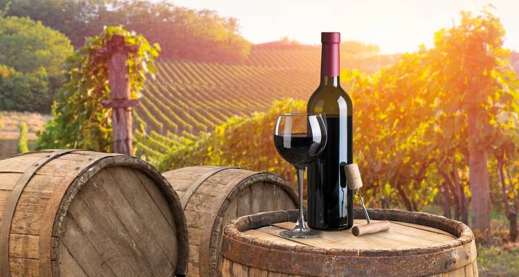 Bouteille et verre de vin sur des tonneaux dans un cadre de vignoble.