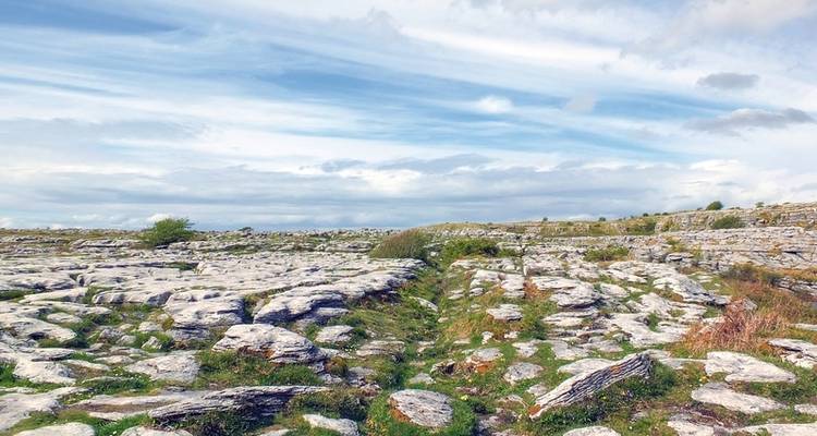 Lugares destacados de Galway - DERTOUR 7