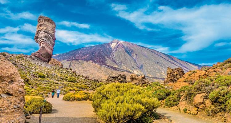 Vue côtière avec des vagues se brisant contre la rive rocheuse et des fleurs au premier plan.