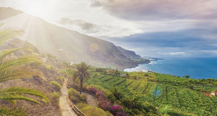 Gros plan d'un plateau de nourriture canarienne traditionnelle avec divers plats.