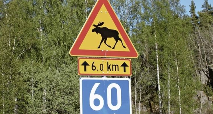 Finlandia con encanto - DERTOUR 2