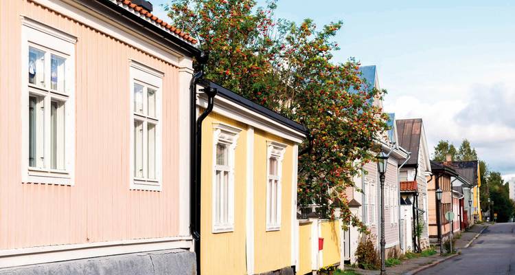 Street lined with colorful houses and a tree.