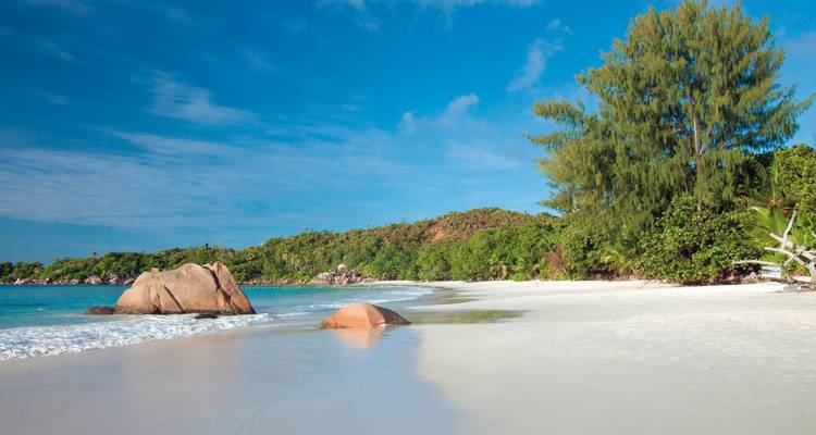 Weißer Sandstrand mit üppig grünem Hintergrund und Felsen.