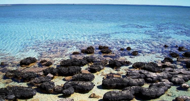 Experiencia del Sur - DERTOUR 1