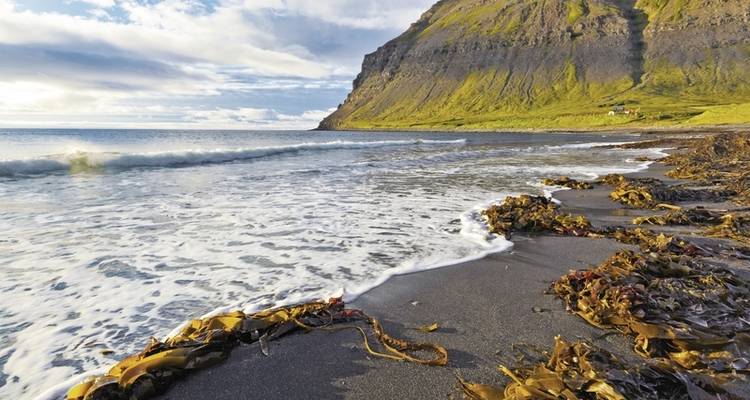 Iceland intensive - DERTOUR 4