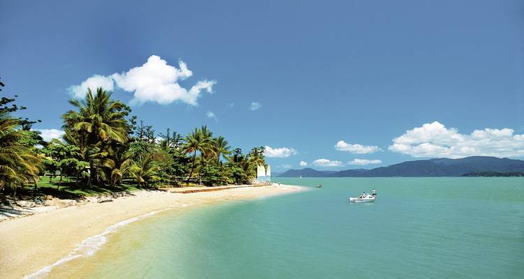 Plage tropicale avec palmiers et eaux calmes.