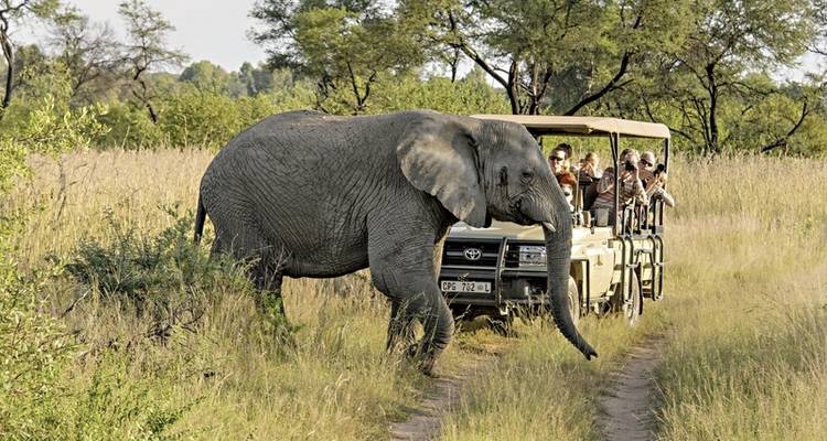 Estancia en Sudáfrica (Johannesburgo-Ciudad del Cabo) - DERTOUR 10