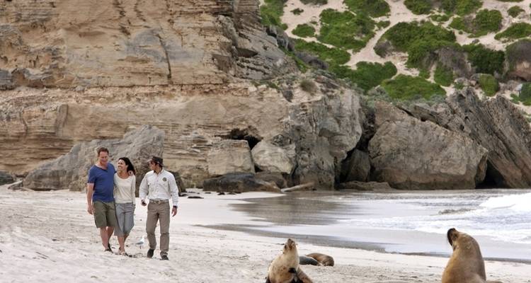 Natural paradises and cosmopolitan cities - DERTOUR 5