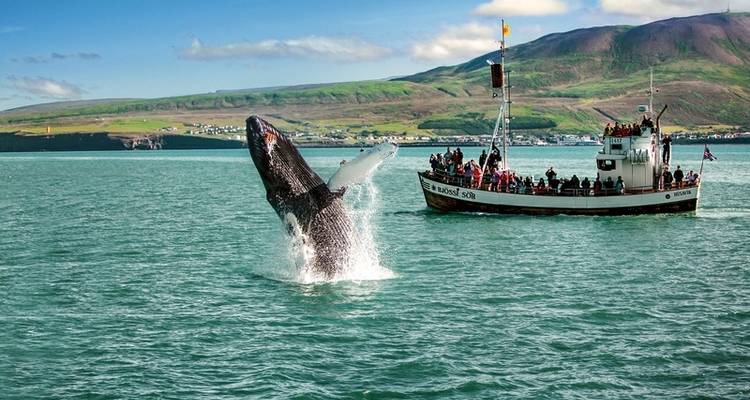 La gran vuelta a Islandia - DERTOUR 2