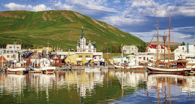 A quaint coastal village with boats in the harbor and green hills in the background.