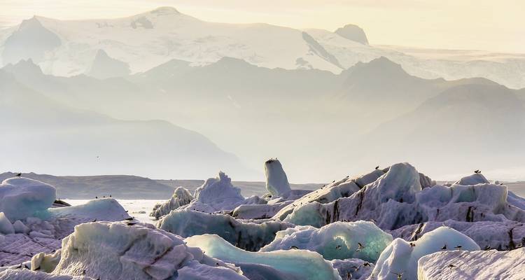 A field of icebergs against a backdrop of rocky, snow-covered mountains.