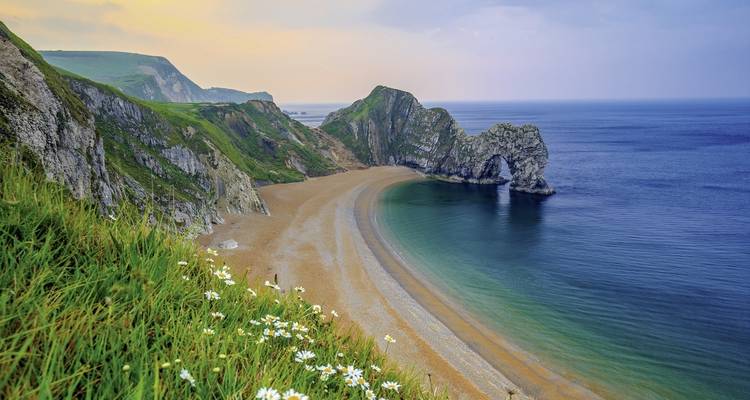Plage de Durdle Door avec des falaises et une zone herbeuse.