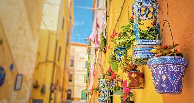 Colorful hanging pots and flowers against a yellow wall.