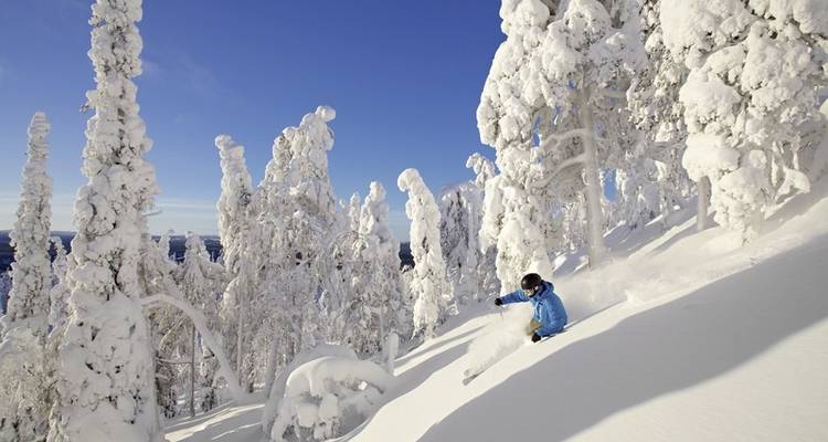 Winter fun in Finnish Lapland - DERTOUR 5
