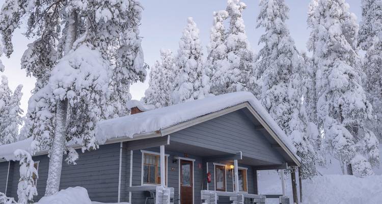Une cabane recouverte de neige entourée d'arbres givrés.