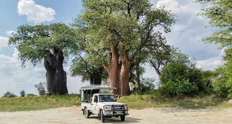 Drifters - Botswana Explorer 17 nights from/to Johannesburg - DERTOUR 5