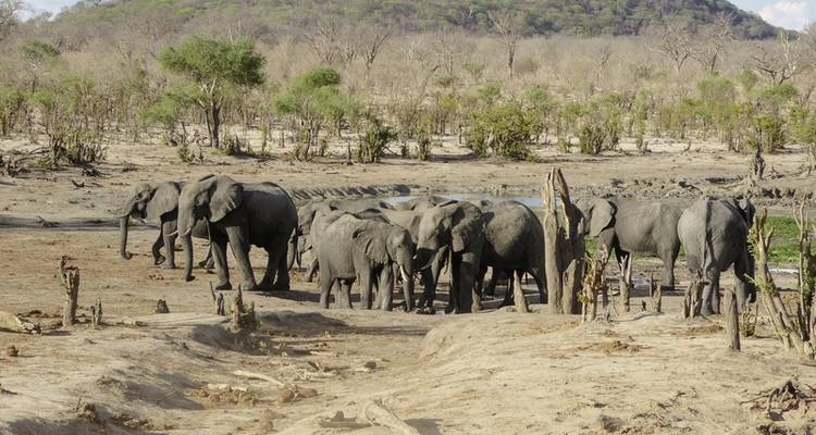 Drifters - Botswana Explorer 17 nights from/to Johannesburg - DERTOUR 1