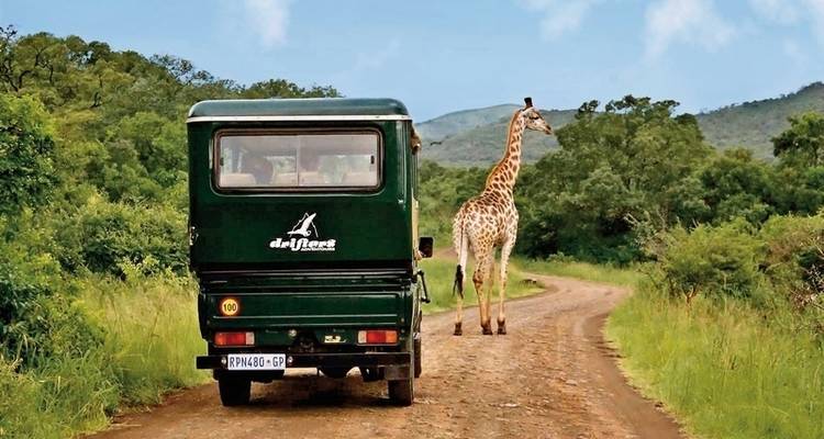 Drifters - Aventura Parque Kruger - DERTOUR 2