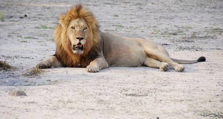 Drifters - Adventure Kruger Park - DERTOUR 6