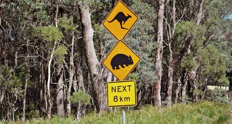 Around Sydney - mountains, wine & sea - DERTOUR 2