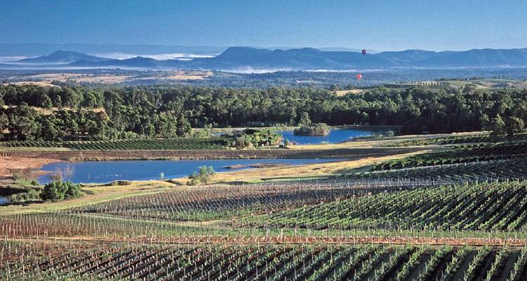 Paysage de vignoble avec des montagnes en arrière-plan.