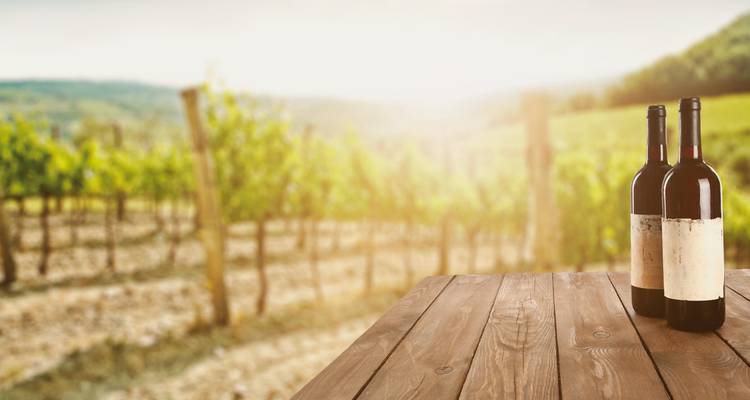 Deux bouteilles de vin sur une table en bois dans un vignoble.