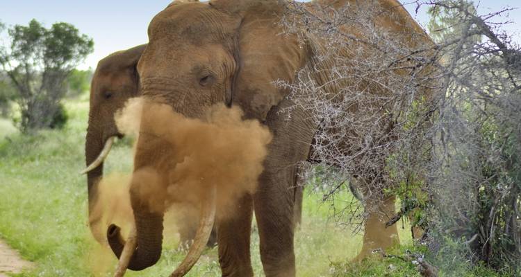 Adventure Kenya - DERTOUR 2