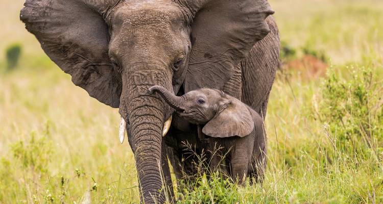 Adventure Kenya - DERTOUR 3