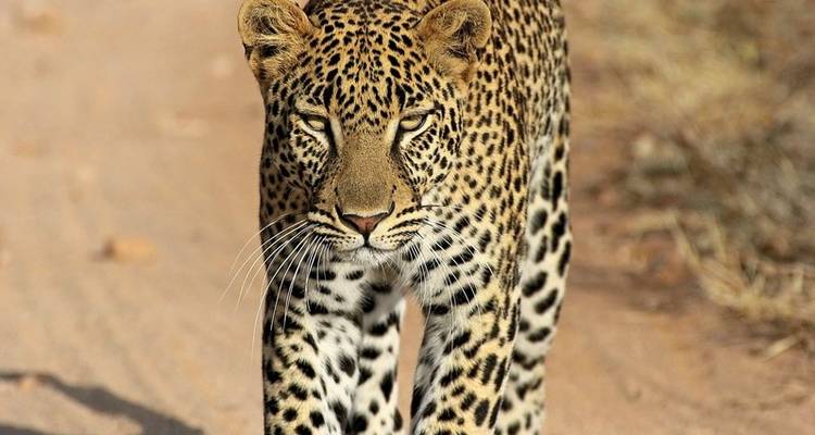 Adventure Kenya - DERTOUR 9