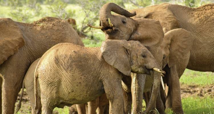 Adventure Kenya - DERTOUR 10