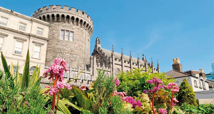 Bâtiment historique en pierre à Dublin avec des fleurs au premier plan.