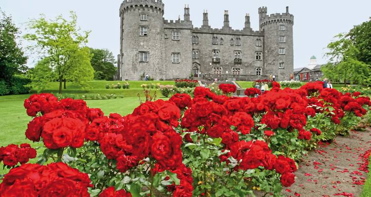 Château de Kilkenny avec des roses rouges au premier plan.