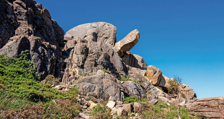 Experience Norway in a relaxed way - DERTOUR 6