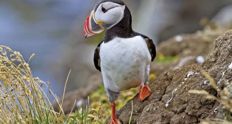 Highlands & Islands (13 destinations) - DERTOUR 2