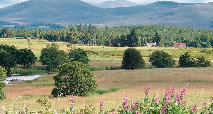 Highlands & Islands (13 destinations) - DERTOUR 3