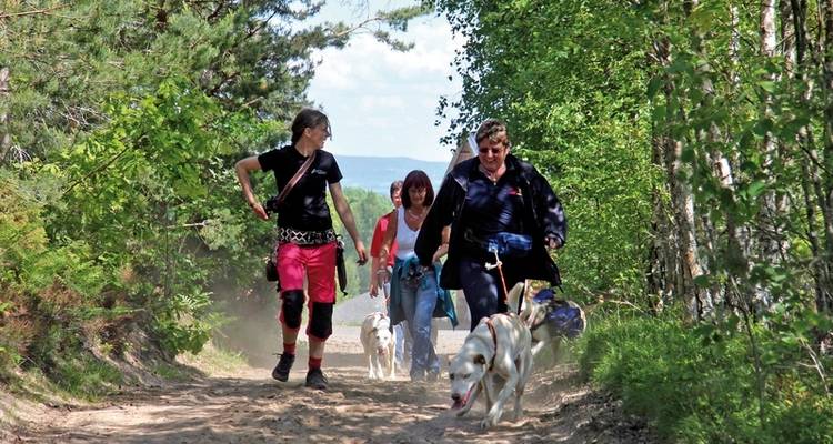 Semana de aventuras en Finlandia - DERTOUR 2
