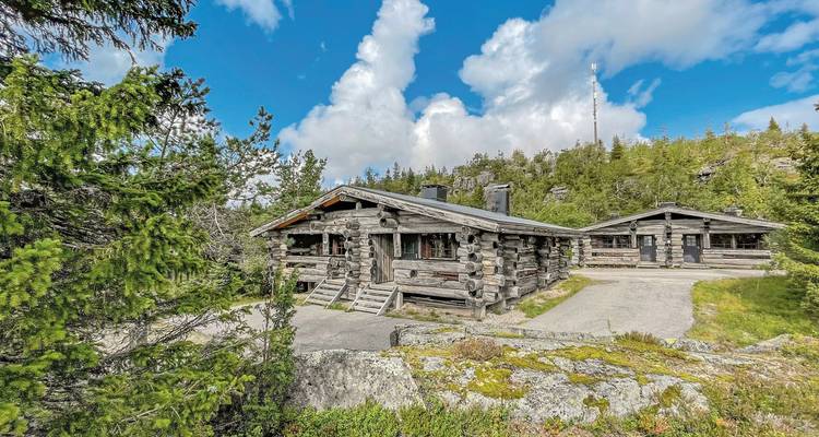 Cabane en bois entourée de forêt sous un ciel dégagé.