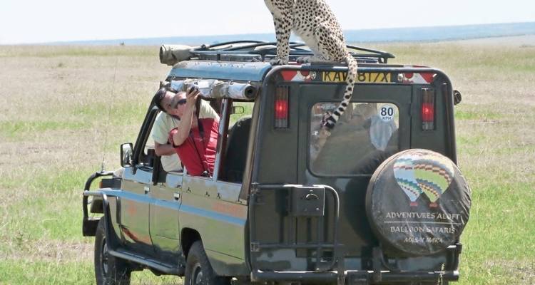 Masai Mara Fly-In Safari Superior from/to Mombasa - DERTOUR 5