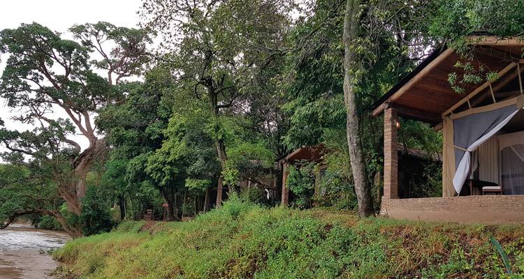 Pavillons au bord de la rivière avec une végétation luxuriante.