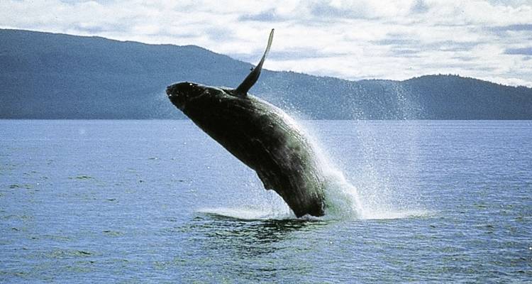 Wellness, wine & wild animals - DERTOUR 1