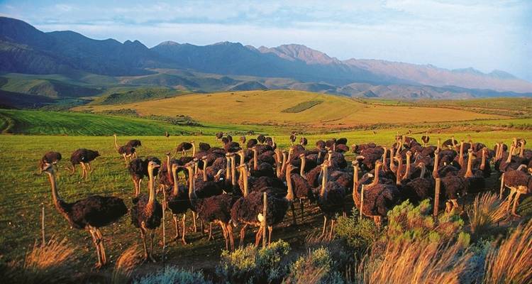 Wellness, wine & wild animals - DERTOUR 2