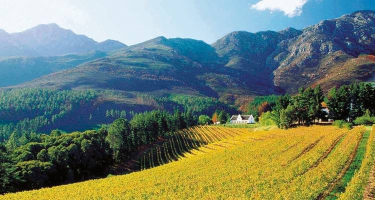 Wellness, wine & wild animals - DERTOUR 3