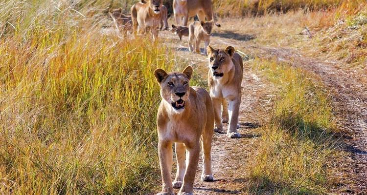 The heartbeat of Africa (6 nights from Maun) - DERTOUR 1