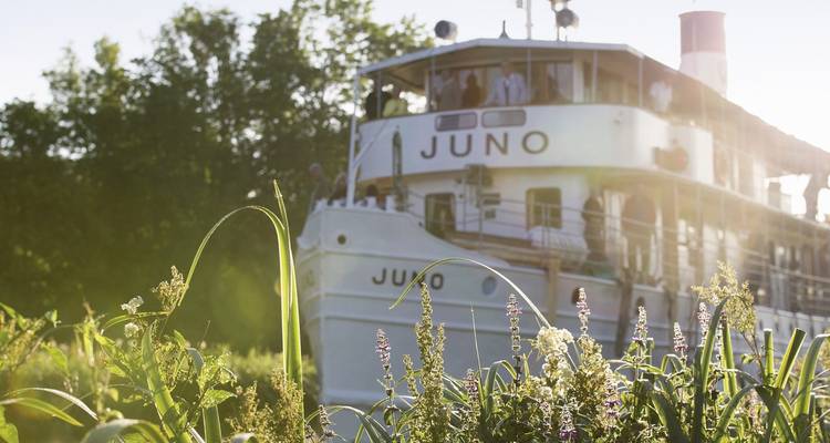A boat named Juno in a scenic area surrounded by greenery.