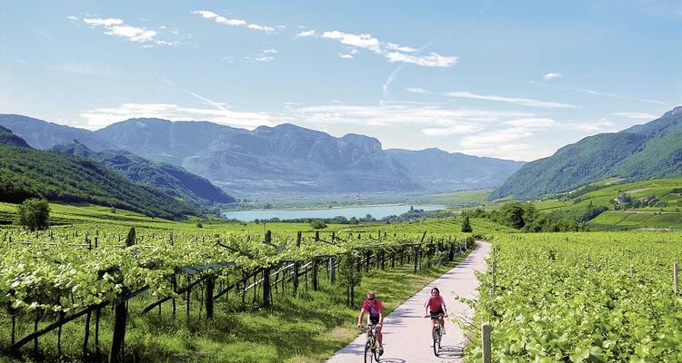 Zwei Radfahrer fahren durch üppige Weinberge in Richtung eines türkisfarbenen Sees, der von aufragenden Bergen umgeben ist.