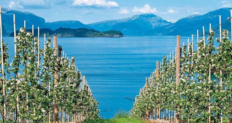Fjord Norway's top ten - DERTOUR 2