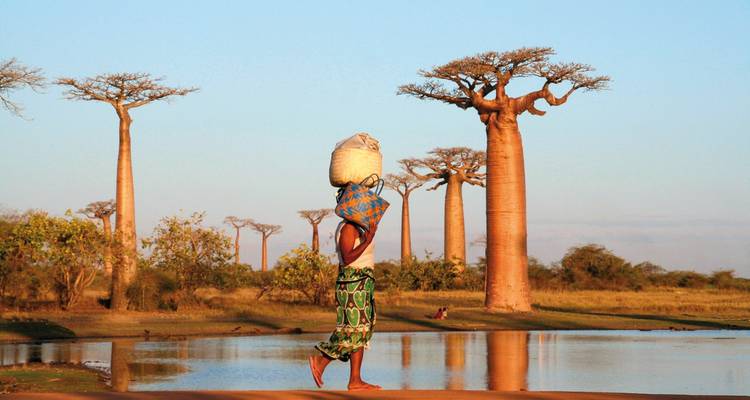Person, die einen Sack in einer Landschaft mit Baobab-Bäumen trägt.