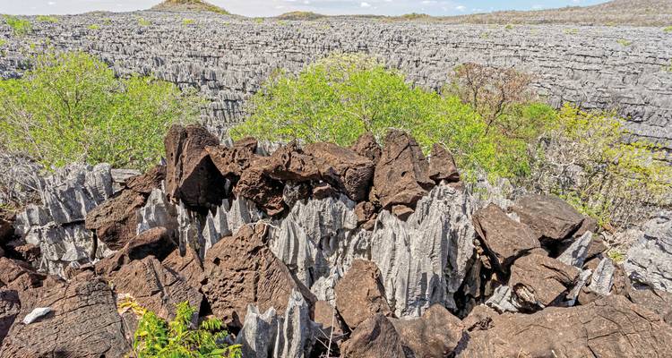 Erodierte Kalksteinformationen in einem trockenen Gebiet.