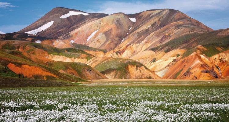 Bunte Berge umgeben von lebendigen Feldern.